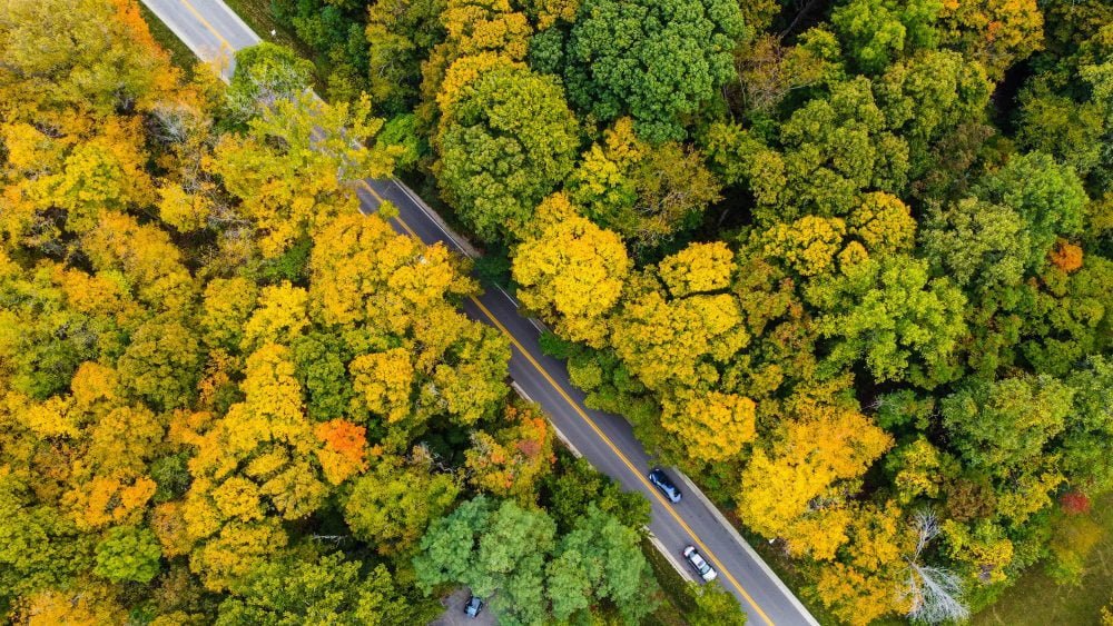 An aerial view of two motor vehicles driving down a road surrounded by trees.