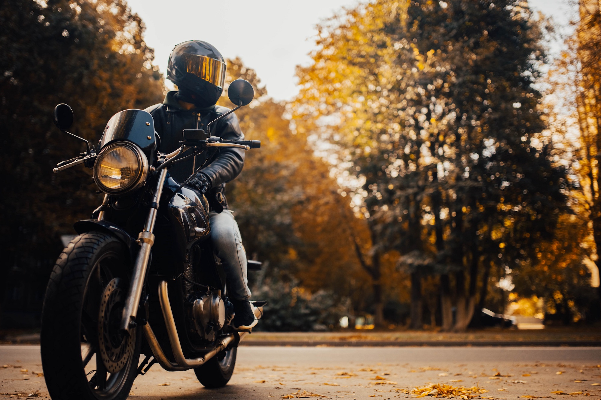 A rider on his motorcycle on the road during the fall.